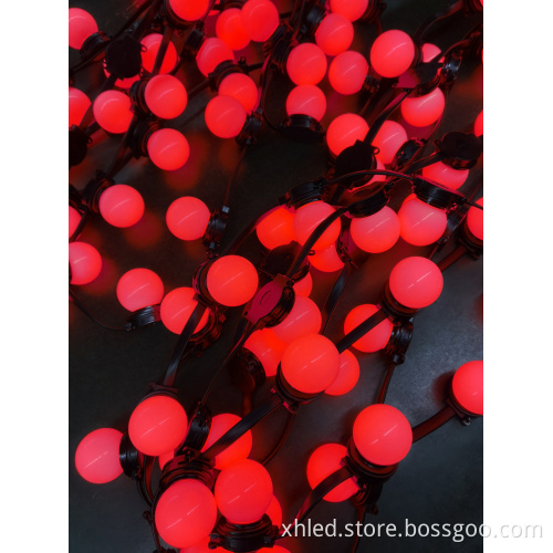 Permanent Intelligent Indoor/Outdoor Red Blue Yellow Christmas LED Decorative Light String